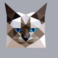 Polygon cat